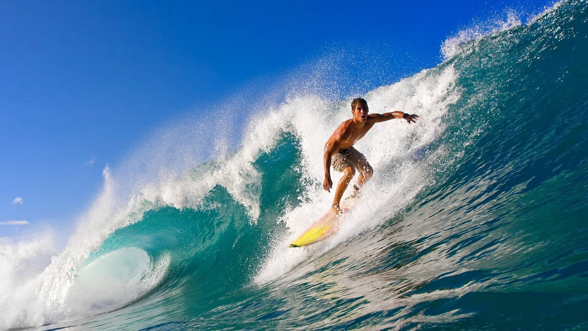 班凯罗硬仗封王！凯尔特人鏖战广东，跨文化对决见证篮球纯粹