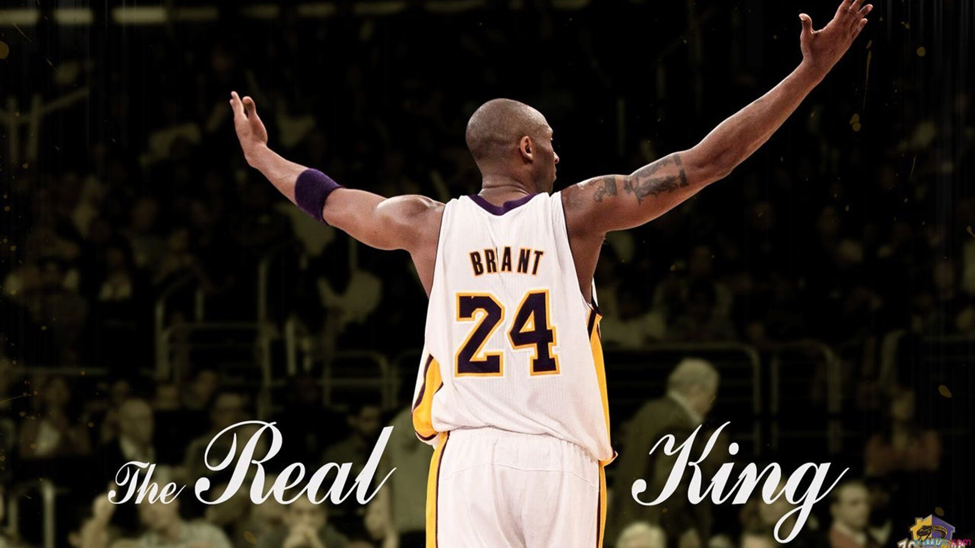 北欧风暴与东方之火的碰撞,当瑞典队鏖战韩国队,张继科点燃赛场